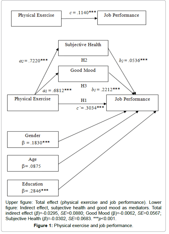 relationship between physical activity exercise and The relationship between positive mental health and physical activity is therefore worth investigated the correlation between levels of exercise,. relationship between physical activity exercise and The relationship between positive mental health and physical activity is therefore worth investigated the correlation between levels of exercise,.
