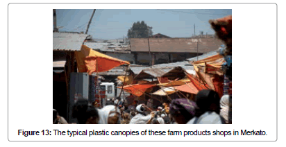 architectural-engineering-technology-typical-plastic