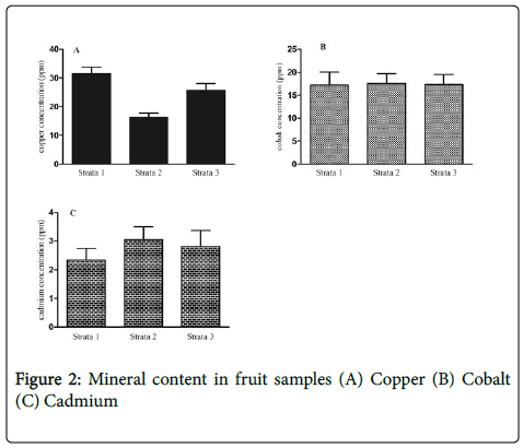 archives-science-fruit-samples