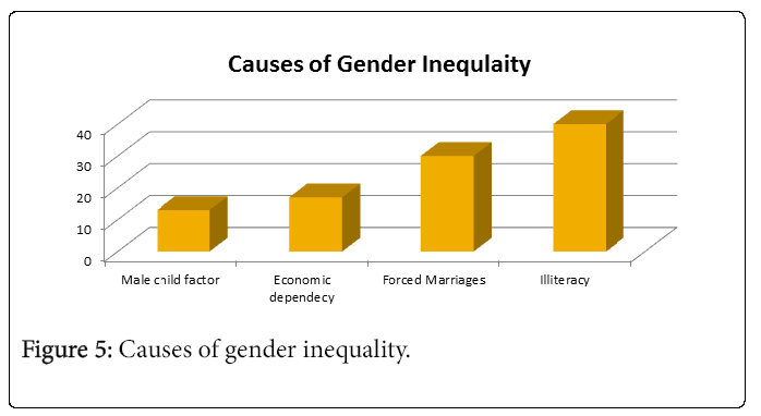 Gender and social inequality