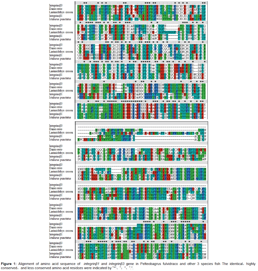 biochemistry-physiology-Alignment-amino