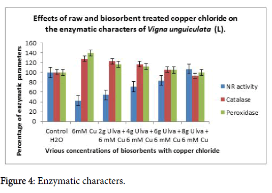 biochemistry-physiology-Enzymatic-characters
