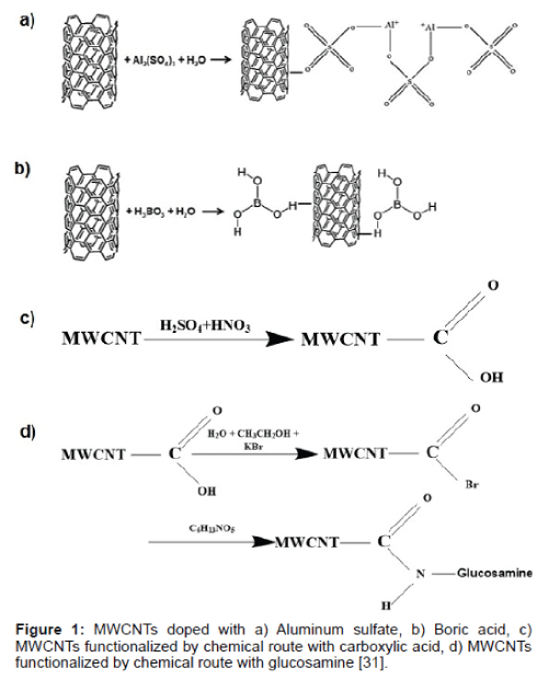 biochemistry-physiology-MWCNTs-doped