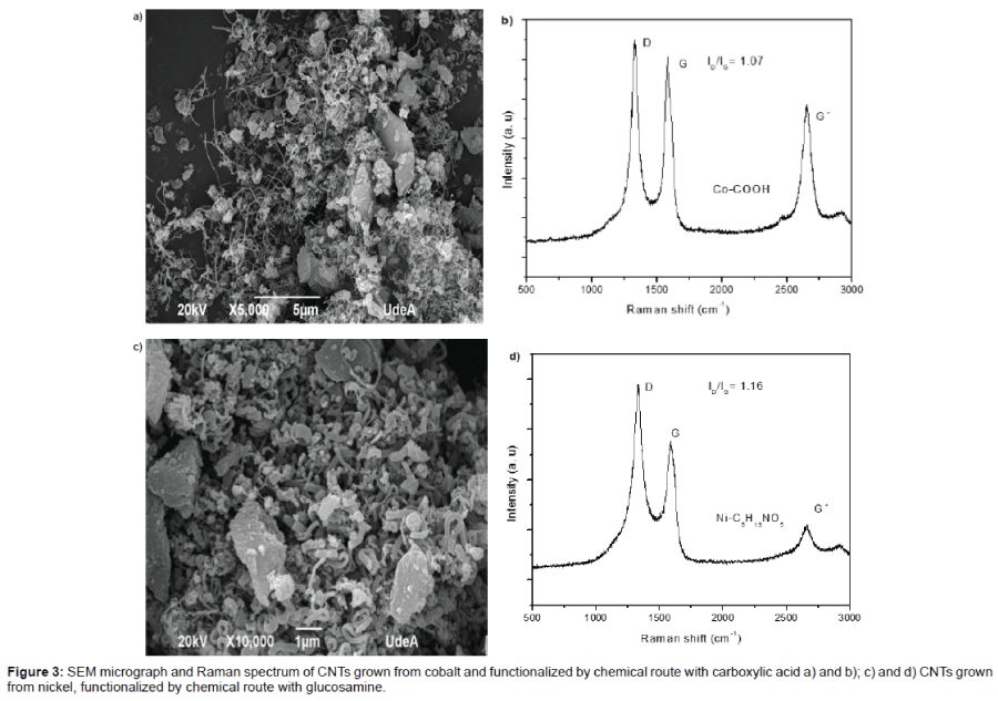 biochemistry-physiology-SEM-micrograph