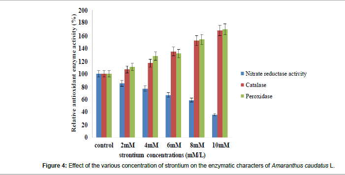 biochemistry-physiology-enzymatic-characters