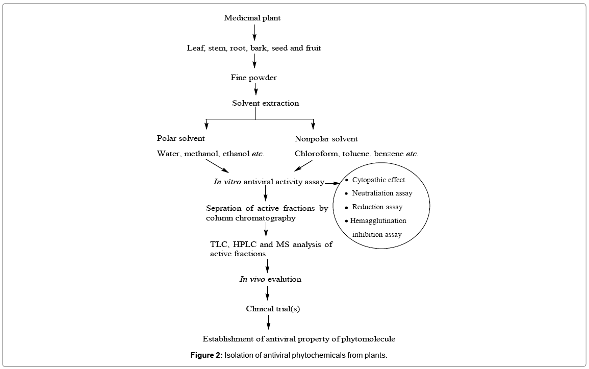 biochemistry-physiology-phytochemicals