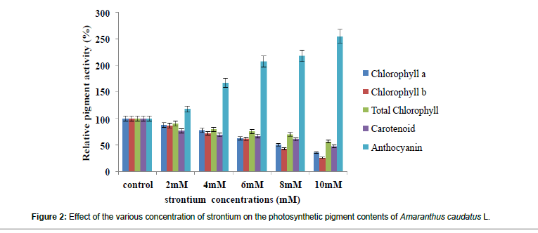 biochemistry-physiology-strontium-photosynthetic