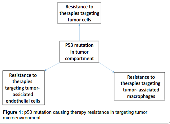 biochemistry-physiology-therapy-resistance