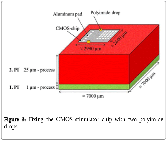 biochips-tissue-chips-CMOS-stimulator