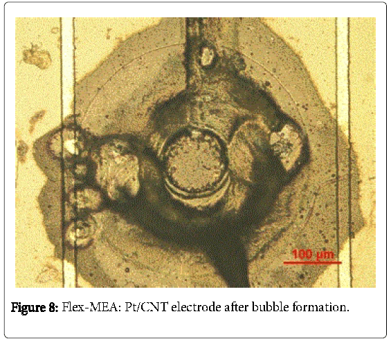 biochips-tissue-chips-Flex-MEA