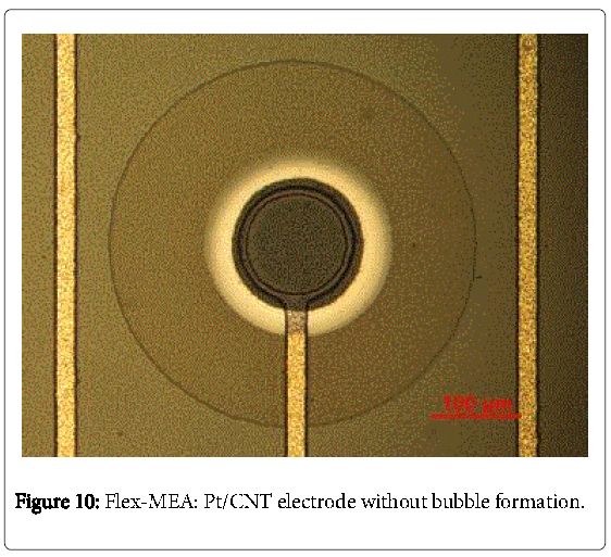biochips-tissue-chips-clean-CNT-electrode