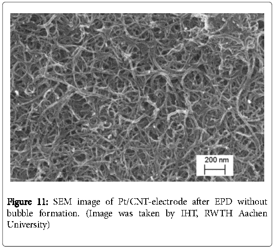 biochips-tissue-chips-clean-EPD-without-bubble
