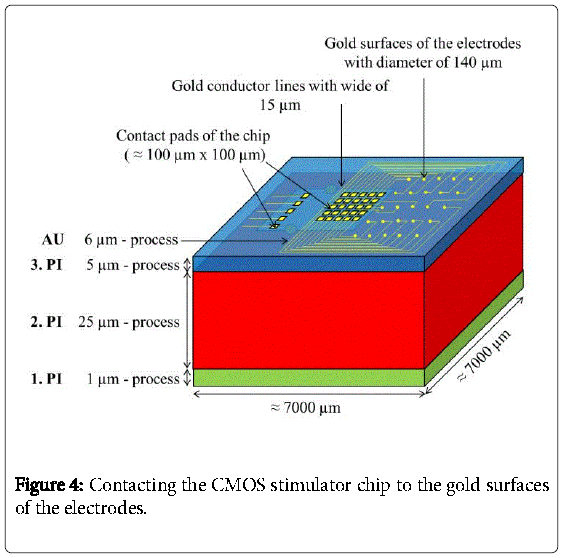 biochips-tissue-chips-gold-surfaces