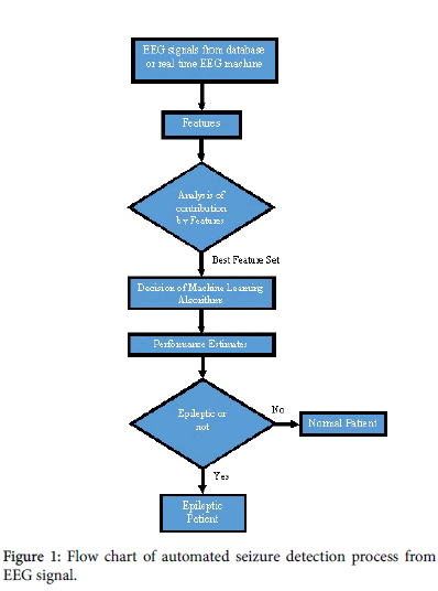 Pathophysiology Of Seizure Flow Chart