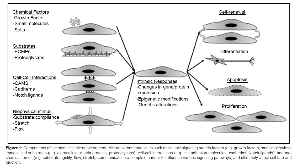 microenvironmental factors of publix microenvironmental factors of publix
