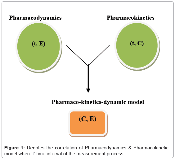 pharmacodynamics