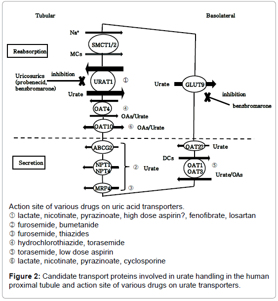 recursion theory week proceedings of a conference held in oberwolfach west germany april 1521