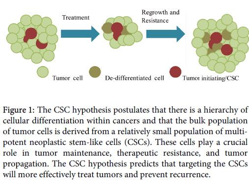 biological hypothesis biological hypothesis