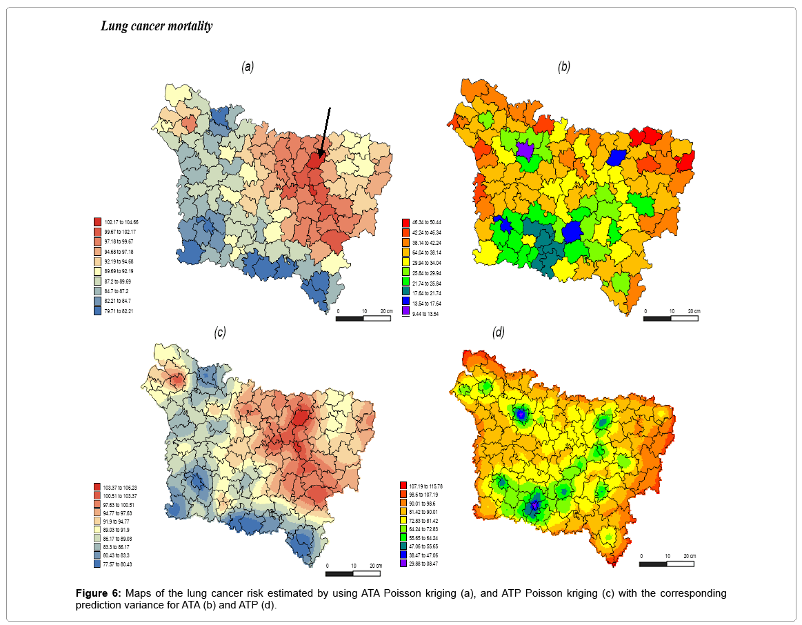 Noise Filtering Cancer Mortality Data For A Better Essment Of Biometrics Biostatistics Lung Cancer Risk