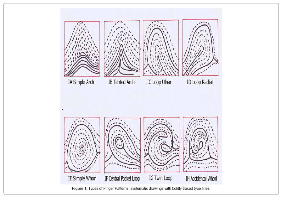 Fingerprint Chart Pdf