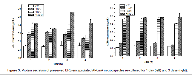 biomimetics-biomaterials-APornA-microcapsules