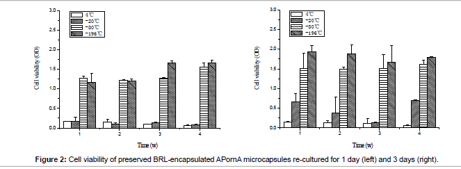 biomimetics-biomaterials-BRL-encapsulated