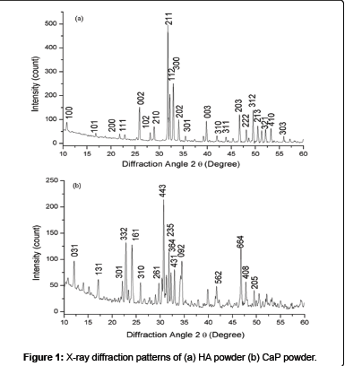 biomimetics-biomaterials-CaP-powder