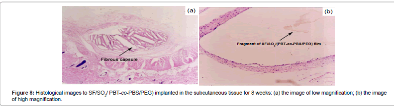 biomimetics-biomaterials-Histological-images