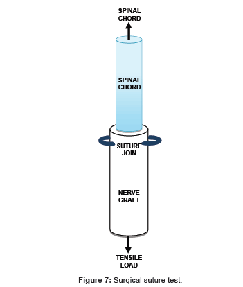 biomimetics-biomaterials-Surgical-suture
