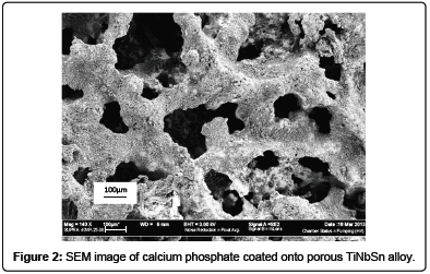 biomimetics-biomaterials-calcium-phosphate
