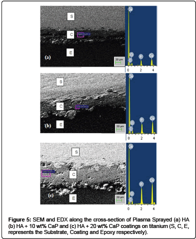 biomimetics-biomaterials-coatings-titanium