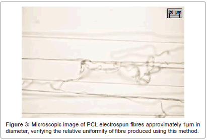 biomimetics-biomaterials-demonstrate-percolation