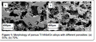 biomimetics-biomaterials-different-porosities