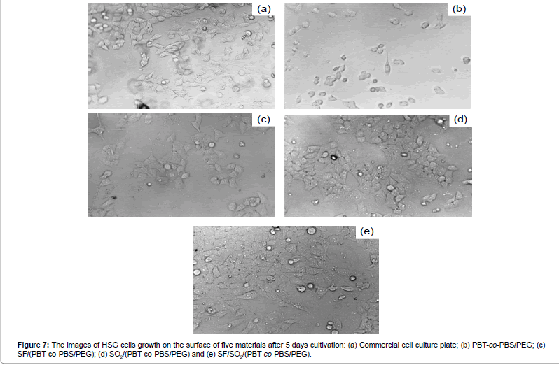 biomimetics-biomaterials-five-materials