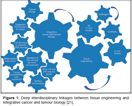 biomimetics-biomaterials-tissue-engineering-Deep-interdisciplinary