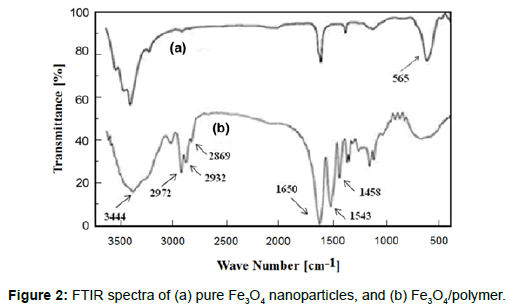 biomimetics-biomaterials-tissue-engineering-FTIR-spectra