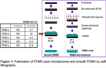 biomimetics-biomaterials-tissue-engineering-Fabrication