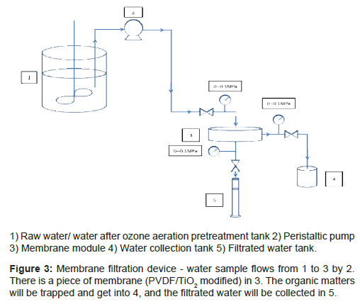 biomimetics-biomaterials-tissue-engineering-Membrane-filtration-device