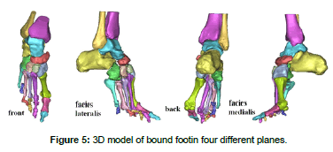 biomimetics-biomaterials-tissue-engineering-bound-footin