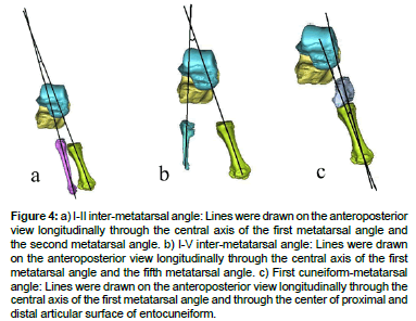 biomimetics-biomaterials-tissue-engineering-center