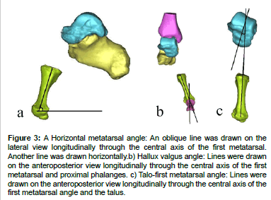 biomimetics-biomaterials-tissue-engineering-oblique-line