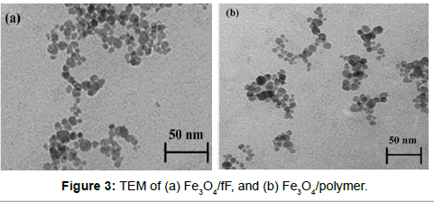 biomimetics-biomaterials-tissue-engineering-polymer