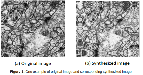 biomimetics-biomaterials-tissue-engineering-synthesized-image