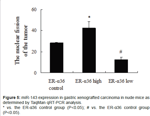 biomimetics-biomaterials-tissue-engineering-xenografted-carcinoma-nude-mice