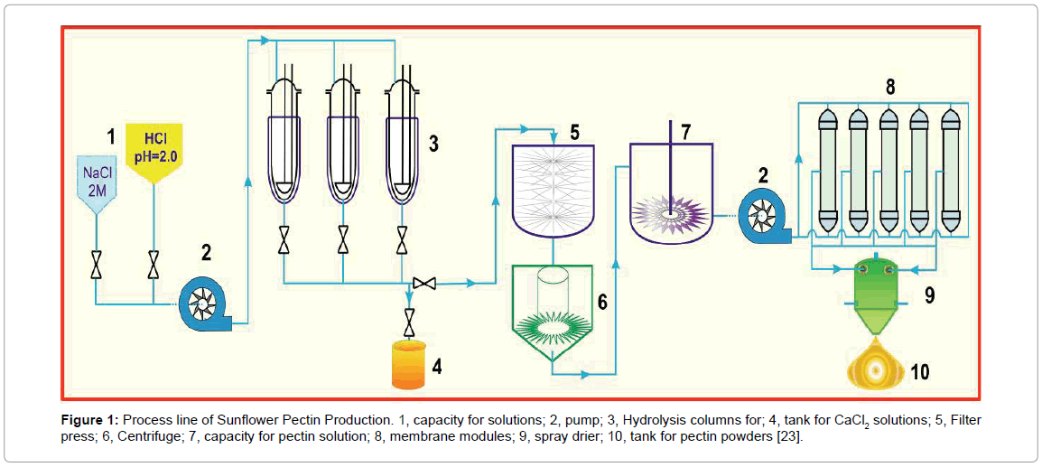 Flow Diagram Of Pectin Extraction Using Acid Extraction Download