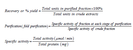 equation