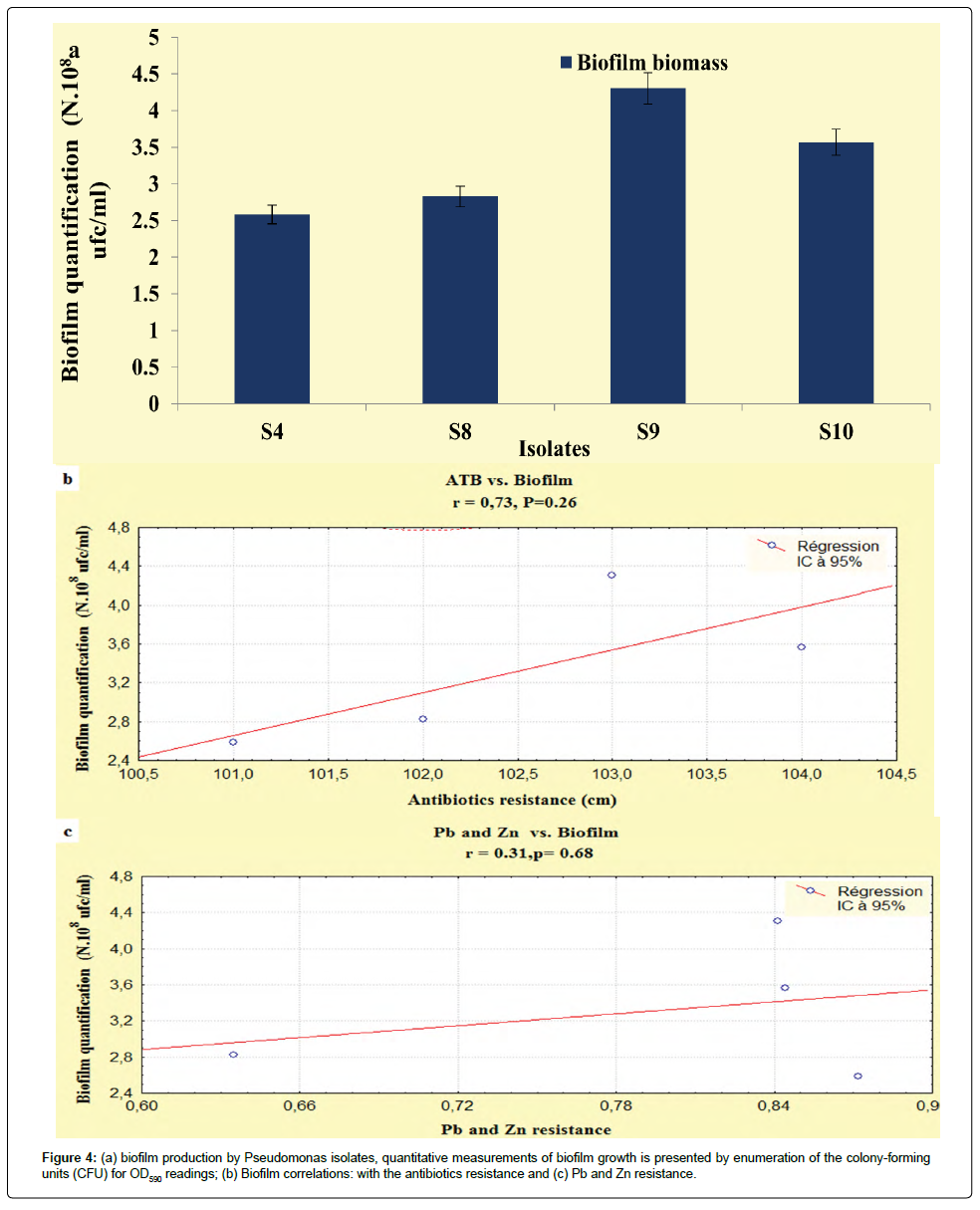 bioremediation-biodegradation-Antibiotic-susceptibility-resistance