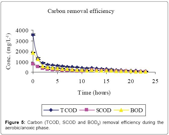 bioremediation-biodegradation-Carbon-removal-efficiency