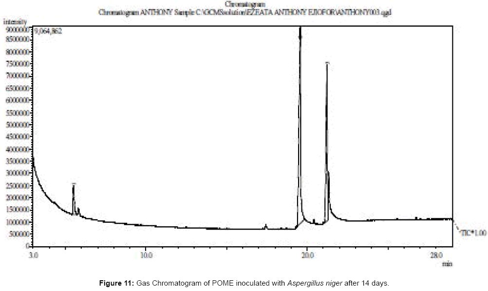 bioremediation-biodegradation-Chromatogram-Aspergillus-niger