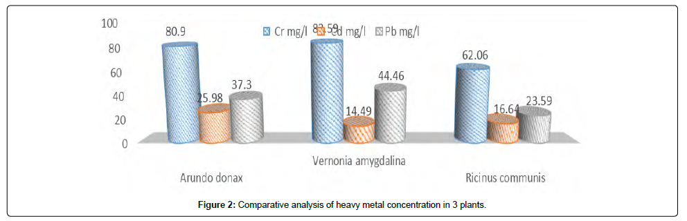 bioremediation-biodegradation-Comparative-analysis-heavy-metal